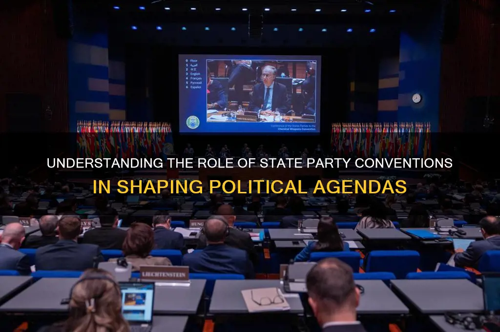 what political function does the state party convention have