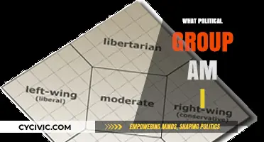 Discover Your Political Identity: Which Group Matches Your Beliefs?