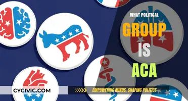 Understanding the ACA: Its Political Affiliations and Policy Implications