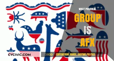 Unveiling AFX's Political Affiliation: A Comprehensive Analysis of Their Stance