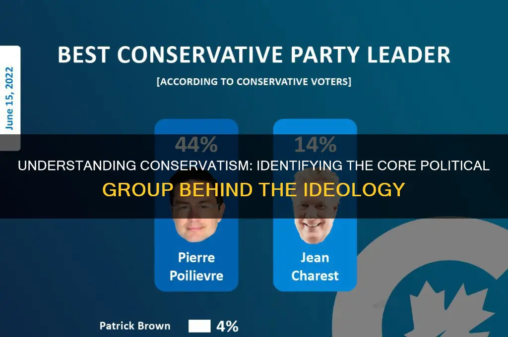 what political group is conservative