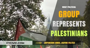 Understanding Palestinian Representation: Key Political Groups and Their Roles