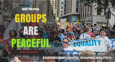 Exploring Peaceful Political Movements: Groups Advocating Non-Violence and Harmony