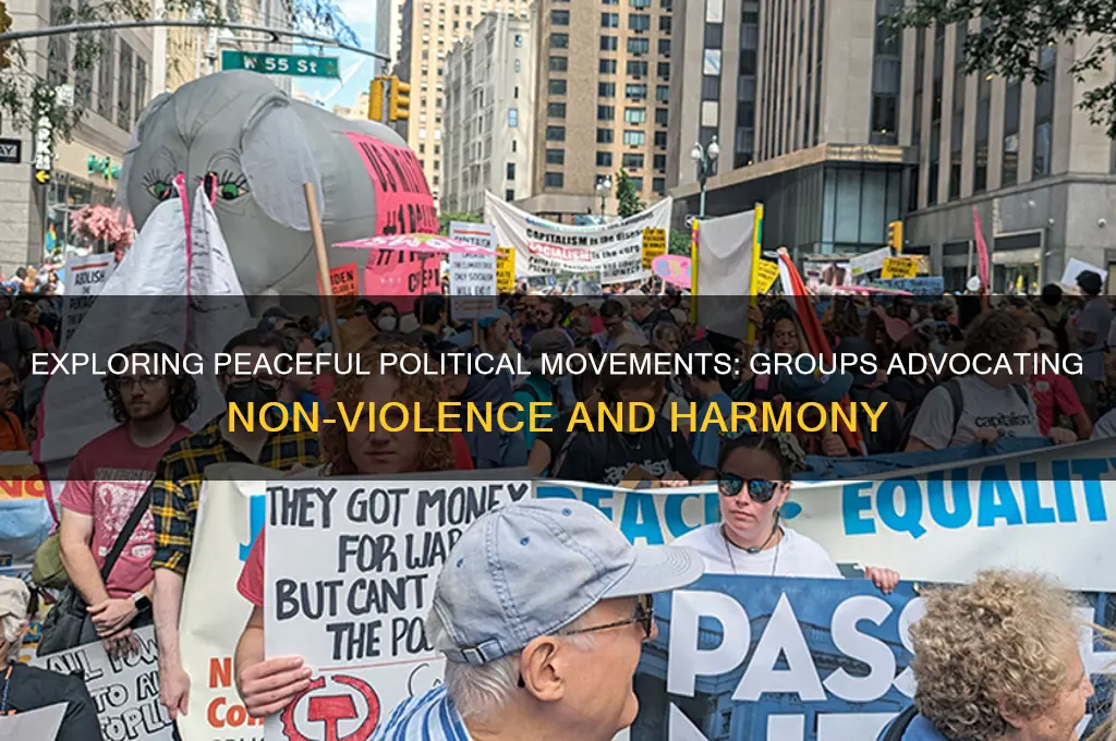 what political groups are peaceful