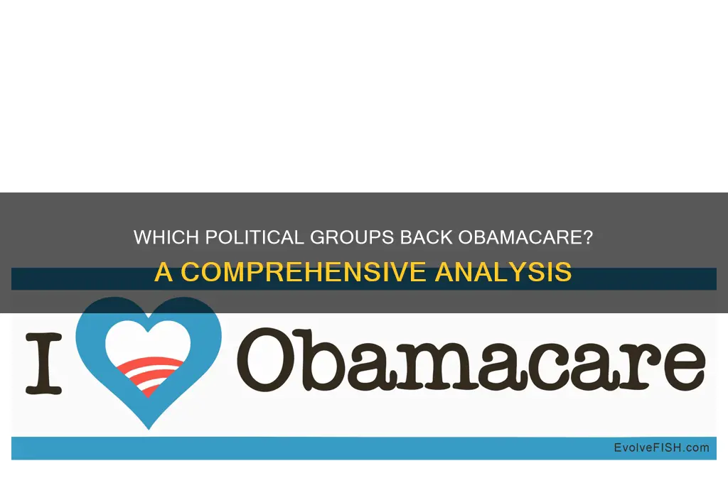 what political groups support obamacare
