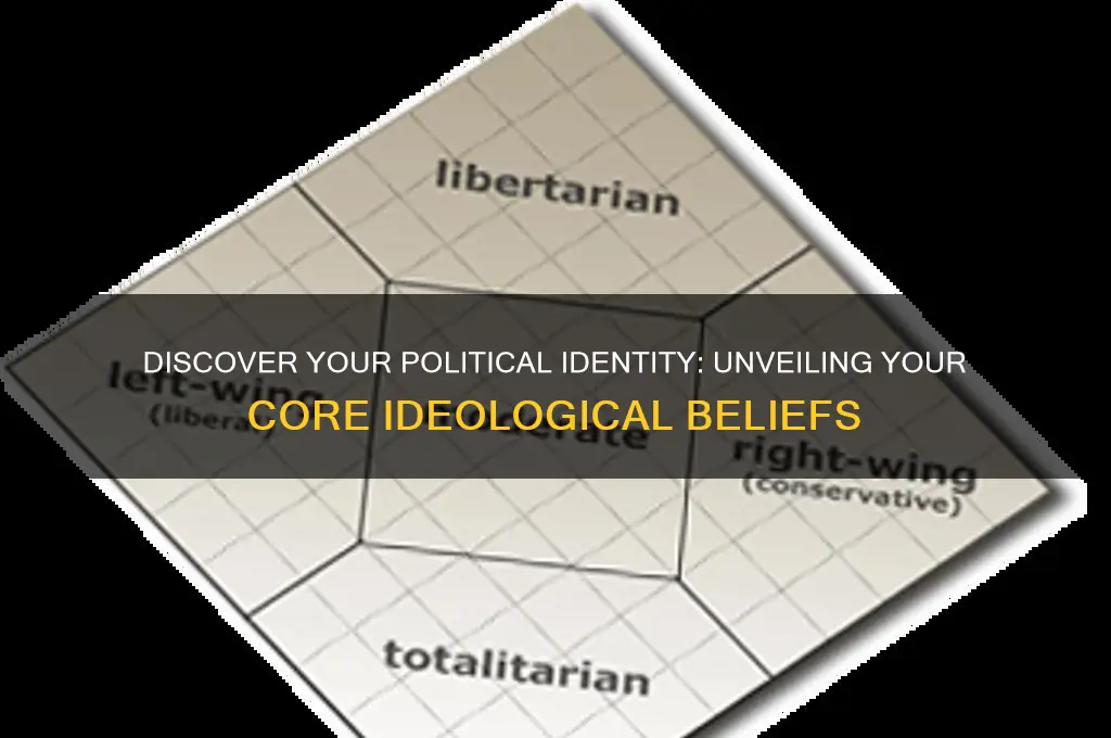 what political idealogy am i