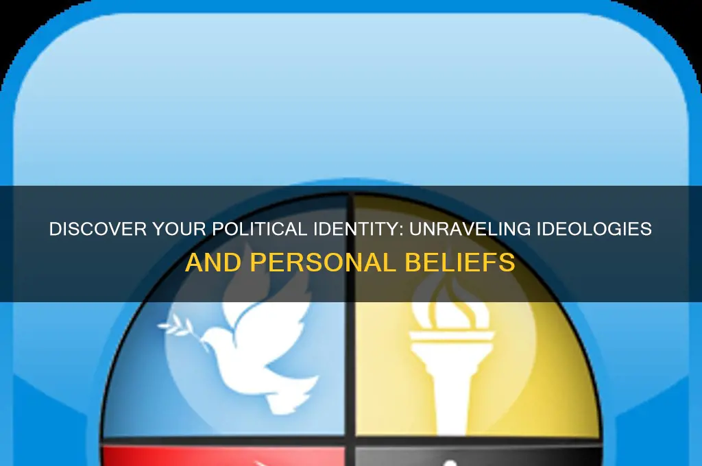 what political ideology am i