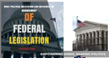 Key Players in Policy: How Political Institutions Shape Federal Legislation
