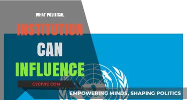 Exploring the Impact: Key Political Institutions Shaping Our World