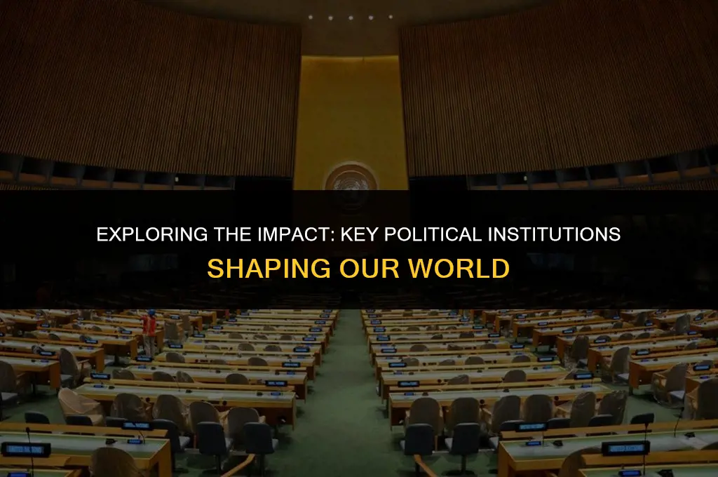 what political institution can influence