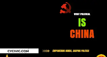 Understanding China's Political System: Structure, Ideology, and Global Influence