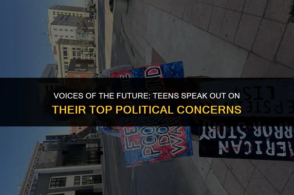 what political issue do teens find most important