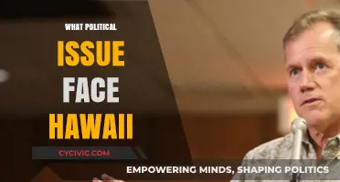 Hawaii's Political Challenges: Housing, Environment, and Sovereignty Debates