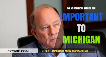 Key Political Issues Shaping Michigan's Future: A Comprehensive Overview
