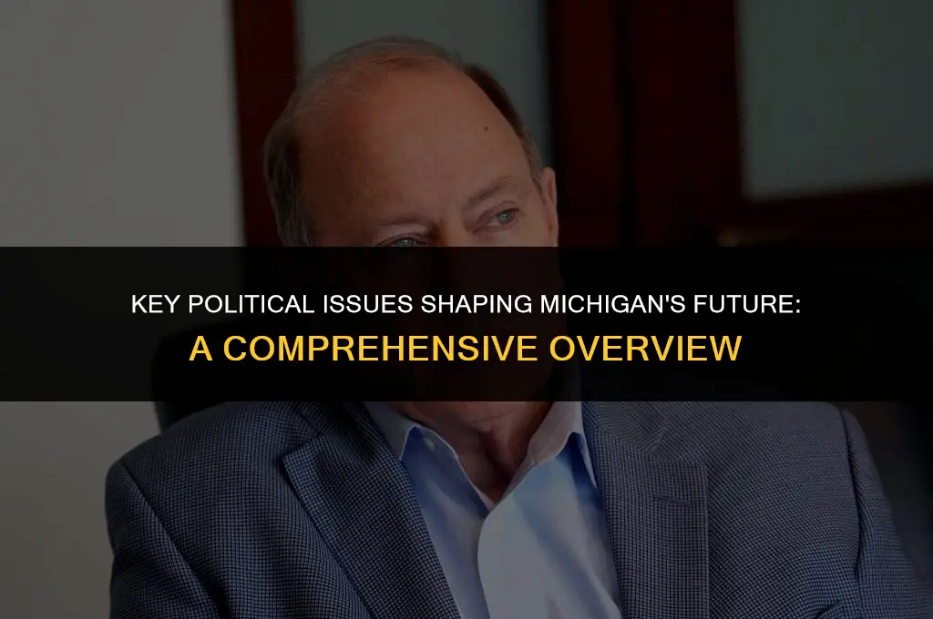 what political issues are important to michigan