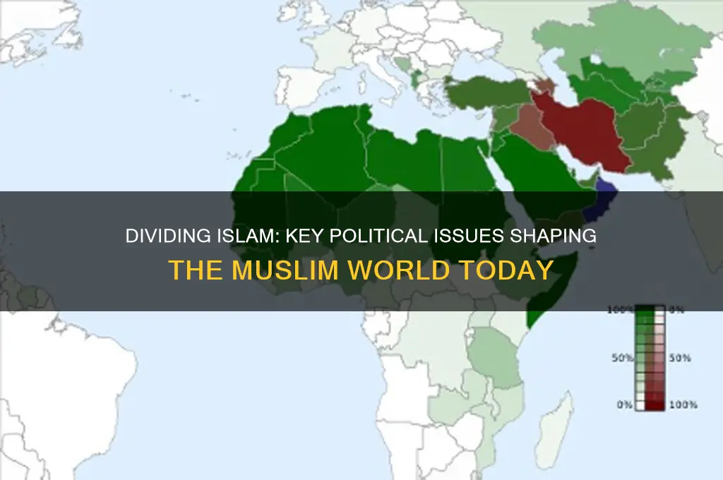 what political issues dicide islam