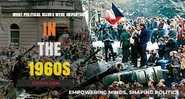 Turbulent Times: Unpacking the Political Issues of the 1960s