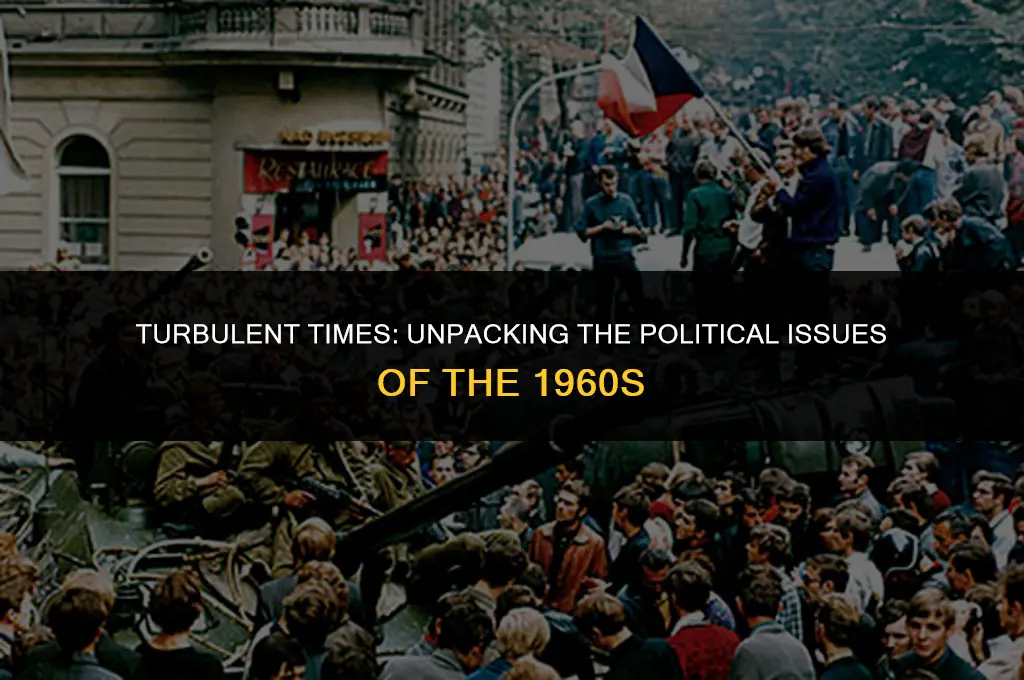what political issues were important in the 1960s