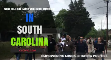 Palmetto State Priorities: Unveiling South Carolina's Key Political Issues