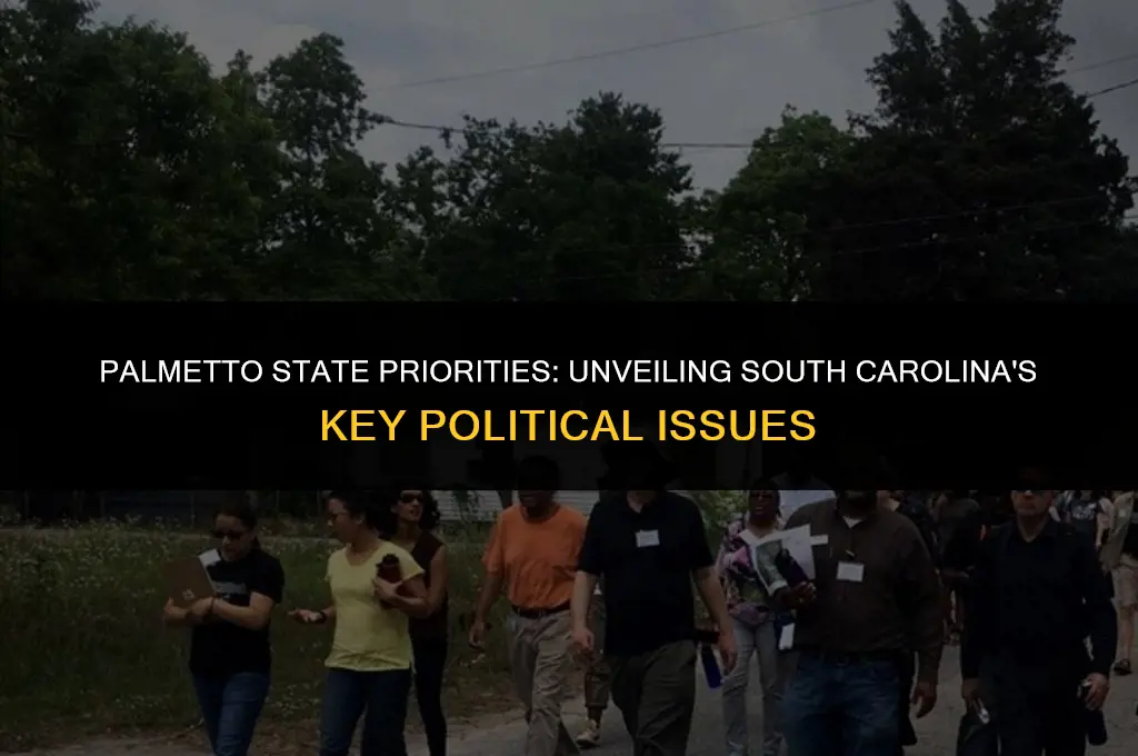 what political issues were most important in south carolina