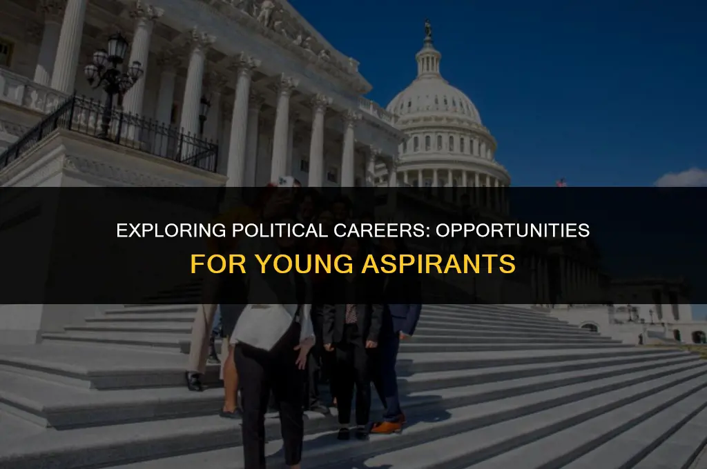 what political jobs can i get at a young age