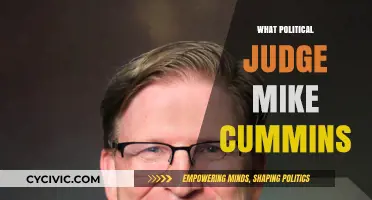 Judge Mike Cummins' Political Influence and Judicial Decision-Making