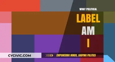 Discover Your Political Identity: Unraveling the Label That Fits You Best