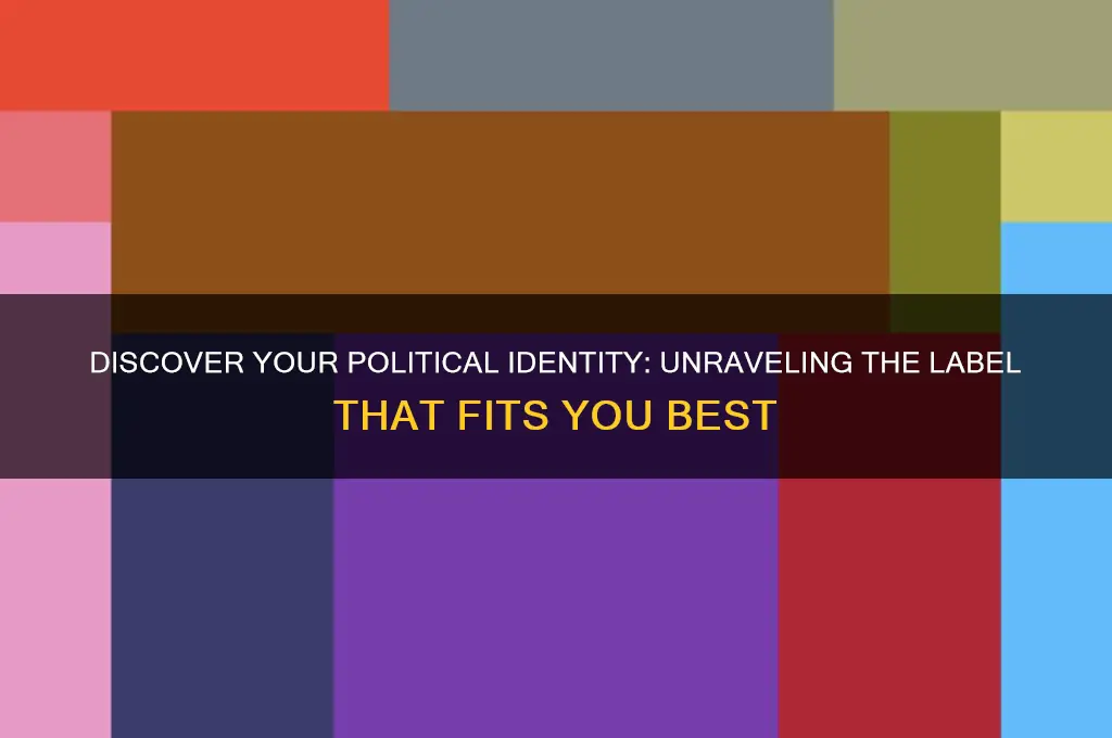 what political label am i