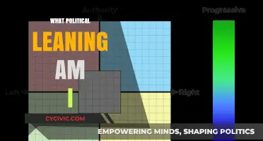 Discover Your Political Compass: Uncover Your True Ideological Leanings