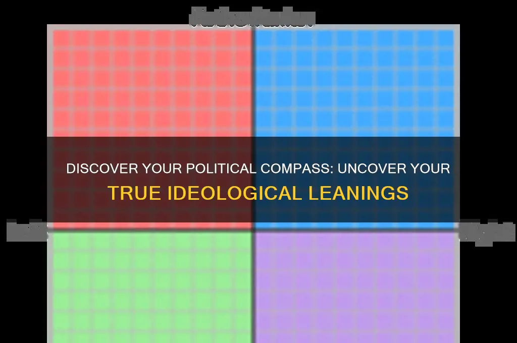 what political leaning am i