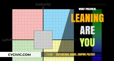 Discover Your Political Compass: Left, Right, or Center?