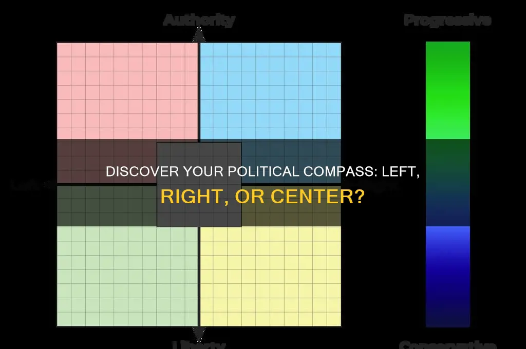 what political leaning are you
