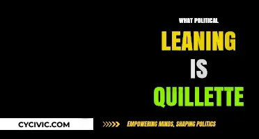 Quillette's Political Leanings: Unraveling the Magazine's Ideological Stance