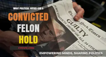 Exploring the Limits: Political Offices Accessible to Convicted Felons