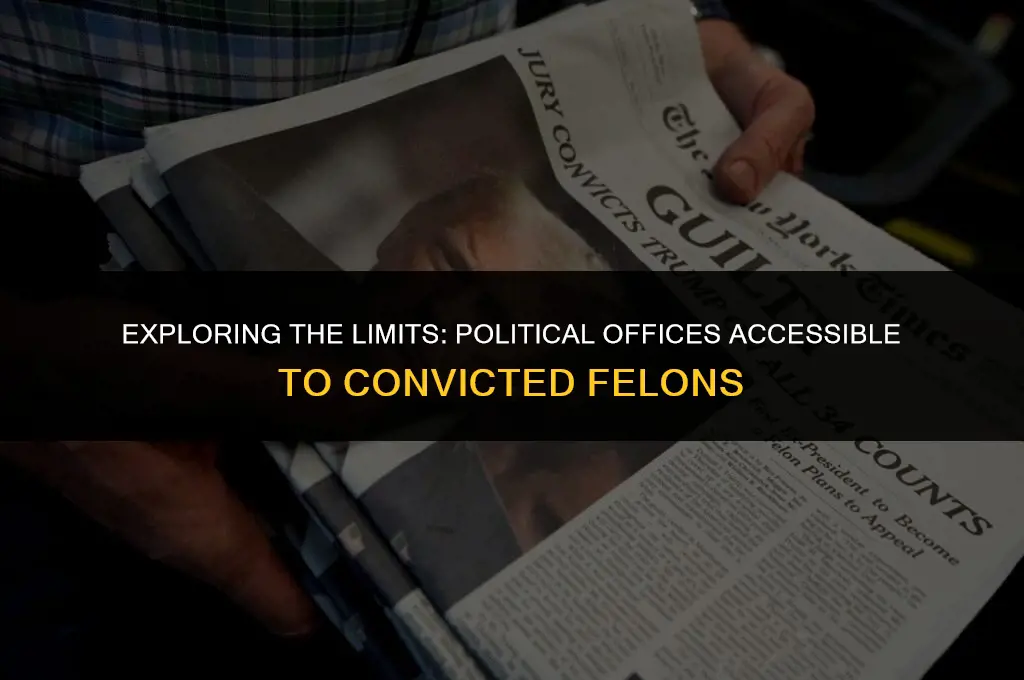 what political office can a convicted felon hold