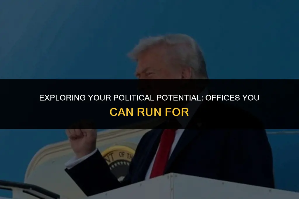 what political office can i run for