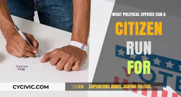 Exploring the Political Arena: Offices Open to Every Citizen