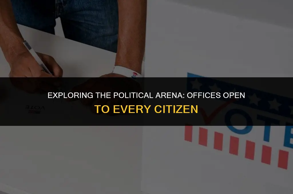 what political offices can a citizen run for