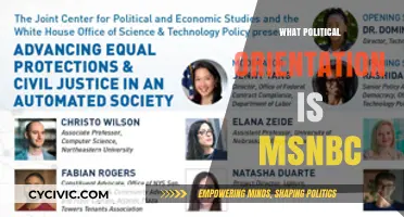 MSNBC's Political Leanings: Liberal Bias or Balanced Reporting?