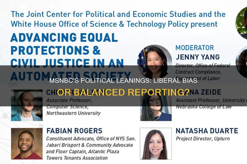 what political orientation is msnbc