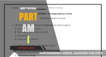 Discover Your Political Identity: Which Party Aligns with Your Beliefs?