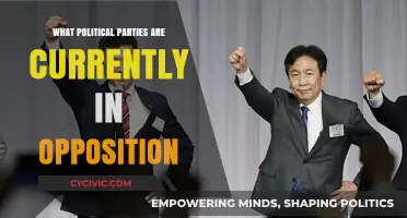 Current Opposition Parties: A Comprehensive Overview of Political Landscapes