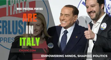 Exploring Italy's Political Landscape: Parties, Ideologies, and Influence