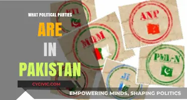 Exploring Pakistan's Political Landscape: Key Parties and Their Influence