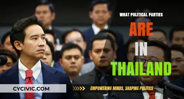 Exploring Thailand's Political Landscape: Parties, Ideologies, and Influence