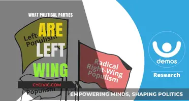 Understanding Left-Wing Political Parties: Ideologies, Goals, and Global Influence