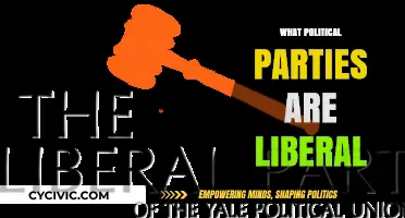 Understanding Liberalism: Identifying Political Parties with Liberal Ideologies
