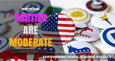Exploring Moderate Political Parties: Balancing Ideologies in Today's Politics