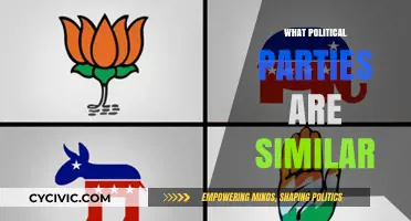 Exploring Global Political Parties: Ideologies, Similarities, and Shared Agendas