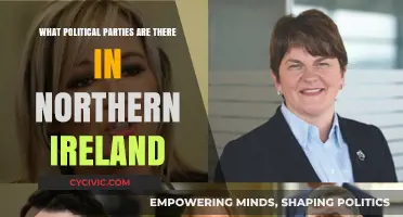 Exploring Northern Ireland's Political Landscape: Parties and Their Roles